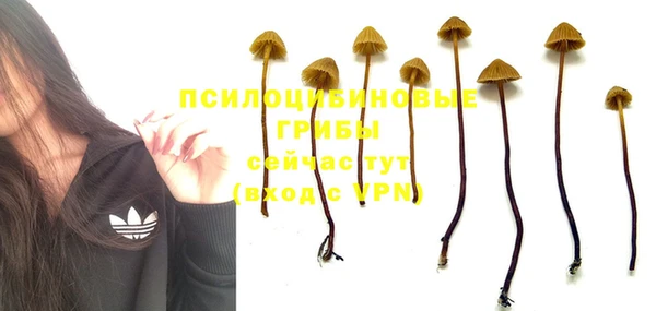 стафф Бугульма