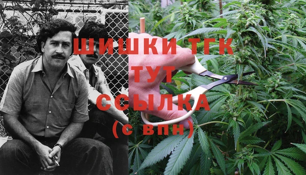 стафф Бугульма