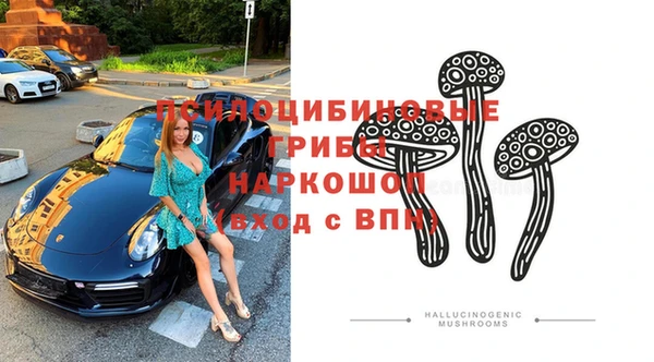 прущая мука Бородино