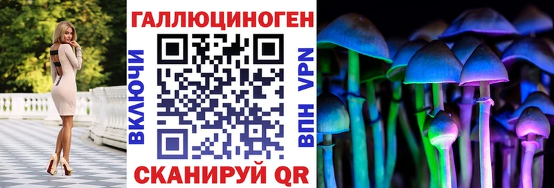 Псилоцибиновые грибы Cubensis  как найти   Тбилисская 